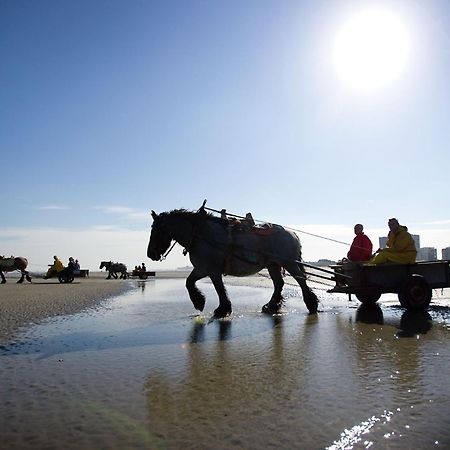 Vitamine D Koksijde Eksteriør bilde